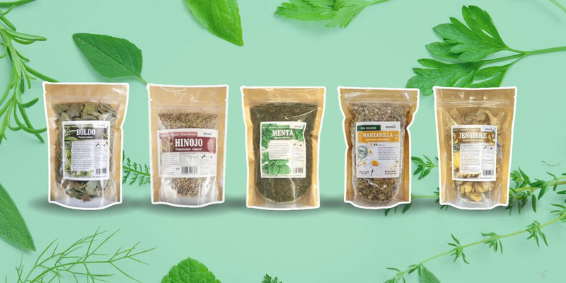 5 hierbas que ayudan a tu sistema digestivo de forma natural