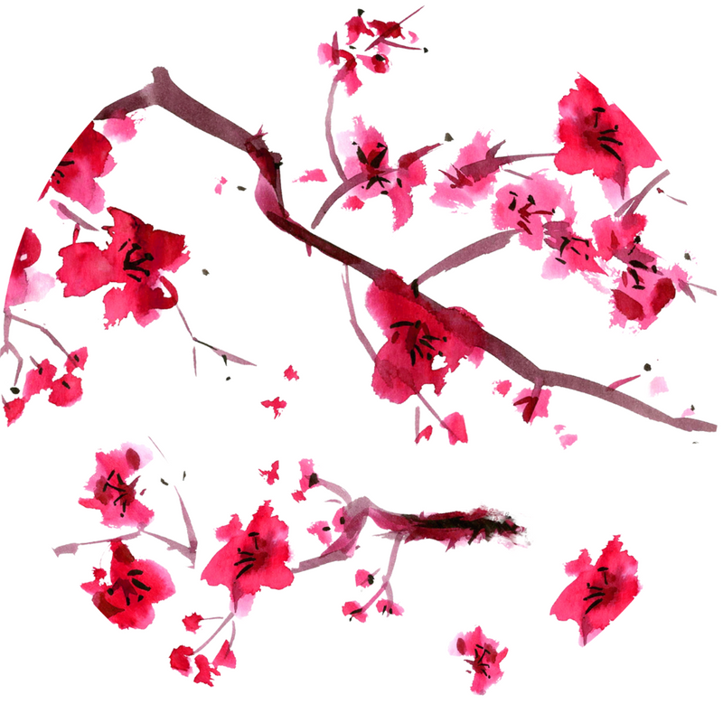 Botella infusora - Flowtea Cherry Blossom 400ml